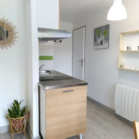 Chez Christine Et Fabrice Apartment Font-Romeu-Odeillo-Via Exterior photo